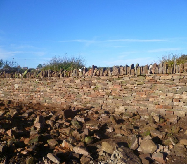 Drystone wall rebuild in Warwickshire