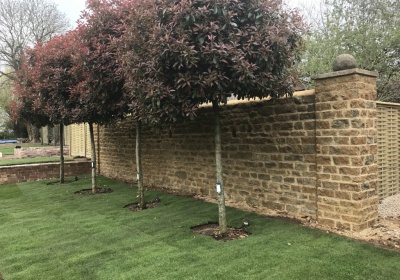 Ironstone wall in Priors Marston, Warwickshire