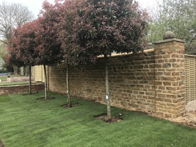 Ironstone wall in Priors Marston, Warwickshire