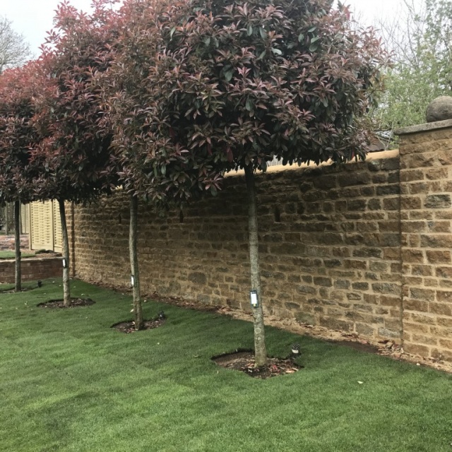 Ironstone wall in Priors Marston, Warwickshire