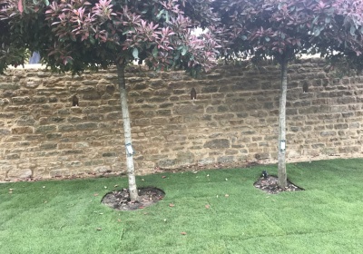 Ironstone wall in Priors Marston, Warwickshire