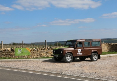 Cotswold Stone Dry Stone Wall, Oxfordshire