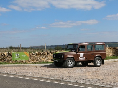 Cotswold Stone Dry Stone Wall, Oxfordshire