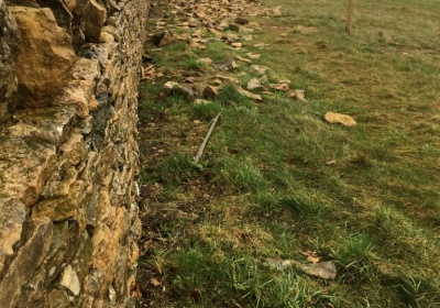 Cotswold Stone Dry Stone Wall, Oxfordshire