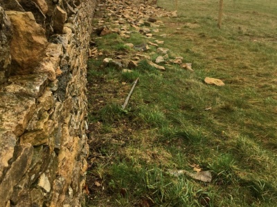 Cotswold Stone Dry Stone Wall, Oxfordshire
