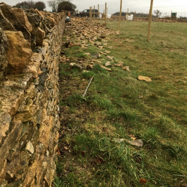 Cotswold Stone Dry Stone Wall, Oxfordshire